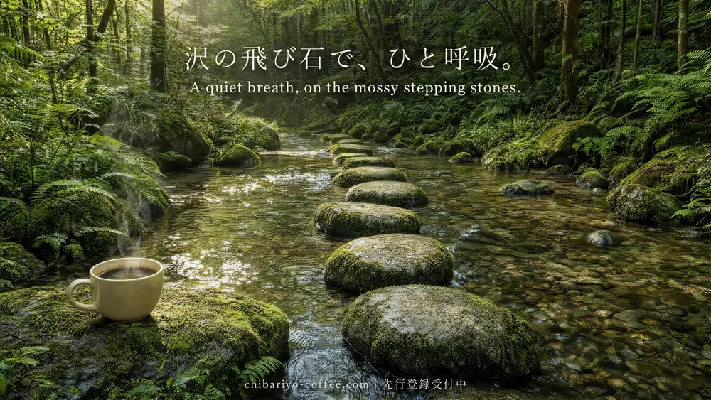 朝の光が差し込む森。朝の応援BGMの一場面